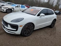 Salvage cars for sale from Copart Cookstown, ON: 2023 Porsche Macan Base