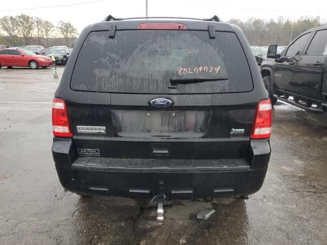 2011 Ford Escape XLT