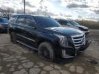 2015 Cadillac Escalade Luxury