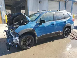 Salvage cars for sale at York Haven, PA auction: 2024 Subaru Forester Wilderness