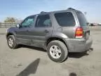 2005 Ford Escape XLT