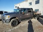 2011 Ford F350 Super Duty