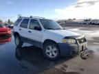 2006 Ford Escape XLT