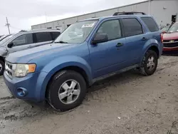 Ford Vehiculos salvage en venta: 2009 Ford Escape XLT