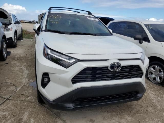 2024 Toyota Rav4 XLE Premium