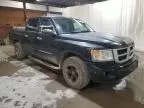 2008 Dodge Dakota Quad SLT