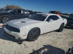 Salvage cars for sale at Taylor, TX auction: 2023 Dodge Challenger SXT