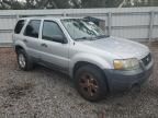 2007 Ford Escape XLT