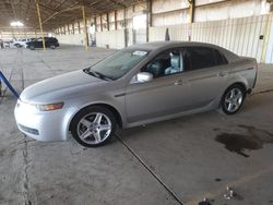 Vehiculos salvage en venta de Copart Phoenix, AZ: 2006 Acura 3.2TL