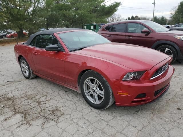 2013 Ford Mustang