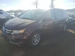 Salvage cars for sale at San Martin, CA auction: 2014 Honda Odyssey EXL