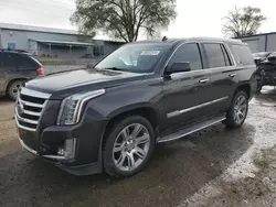 2015 Cadillac Escalade Luxury en venta en Albuquerque, NM