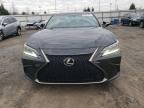 2020 Lexus ES 350 F Sport