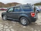 2009 Ford Escape Limited