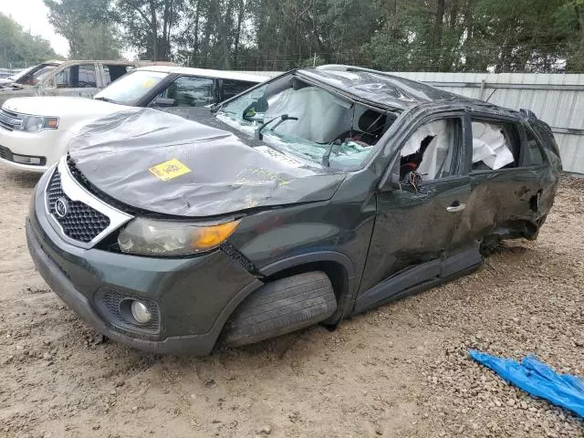 2011 KIA Sorento Base