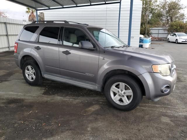 2008 Ford Escape HEV