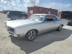 Salvage cars for sale at Arcadia, FL auction: 1966 Pontiac Tempest