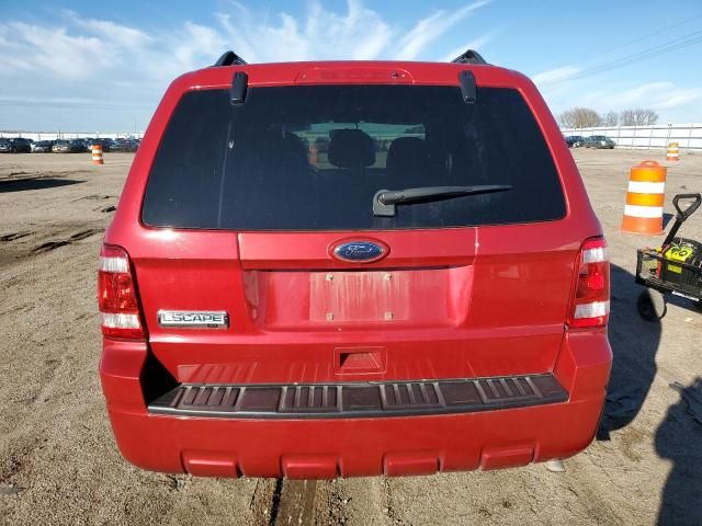 2010 Ford Escape XLT