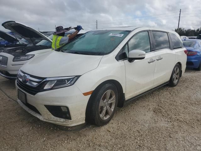 2019 Honda Odyssey EXL