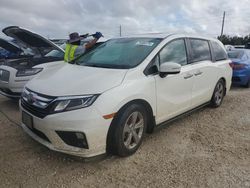 Salvage cars for sale at Arcadia, FL auction: 2019 Honda Odyssey EXL