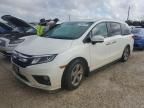 2019 Honda Odyssey EXL