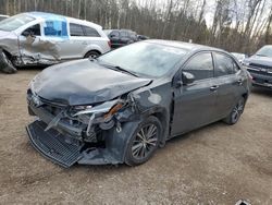 2019 Toyota Corolla L en venta en Cookstown, ON