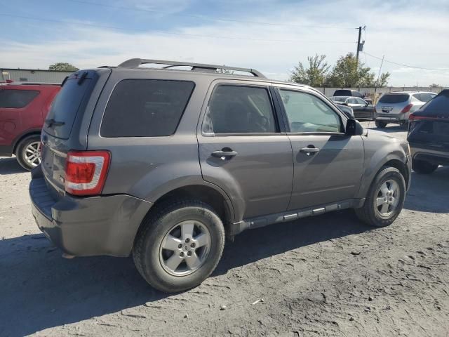 2010 Ford Escape XLT