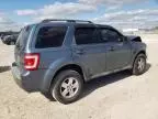 2011 Ford Escape XLS