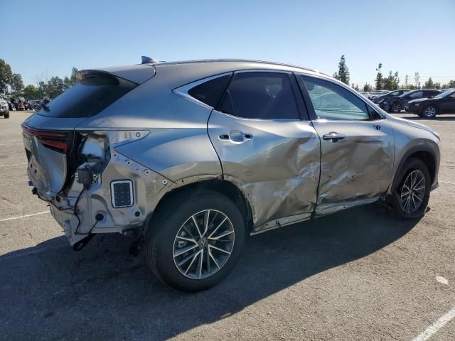 2024 Lexus NX 350H Base