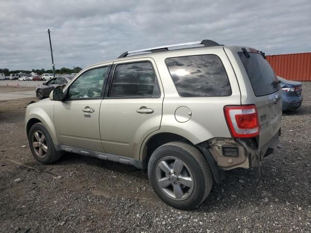 2010 Ford Escape Limited