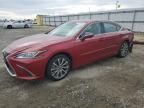 2019 Lexus ES 300H