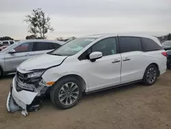 Salvage cars for sale at San Martin, CA auction: 2024 Honda Odyssey EXL