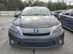 2010 Lexus HS 250H