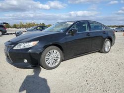 Salvage cars for sale at Lumberton, NC auction: 2013 Lexus ES 350