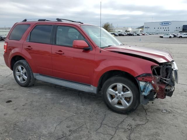 2010 Ford Escape Limited