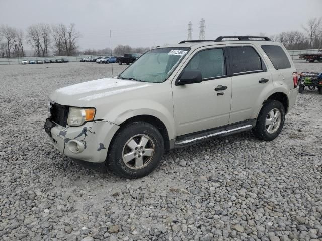 2009 Ford Escape XLT