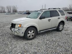 Salvage cars for sale at Barberton, OH auction: 2009 Ford Escape XLT