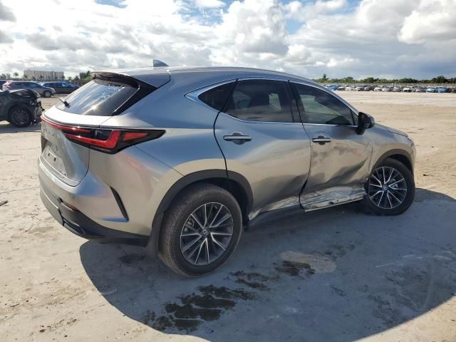 2022 Lexus NX 350