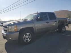 Chevrolet Silverado c1500 Crew cab salvage cars for sale: 2007 Chevrolet Silverado C1500 Crew Cab