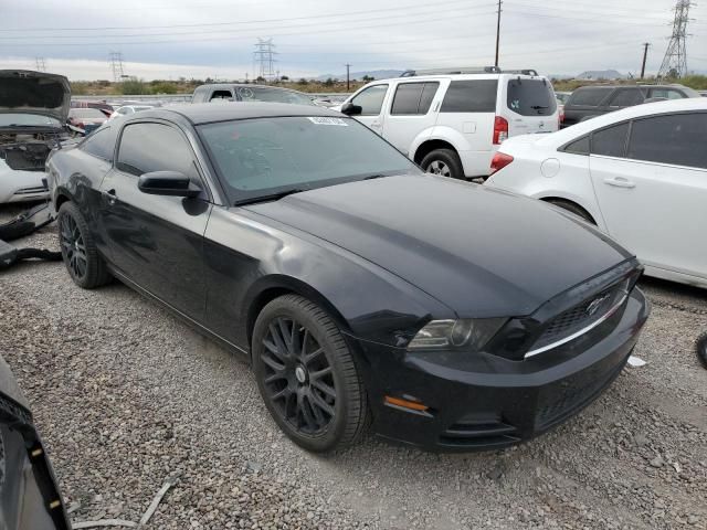 2013 Ford Mustang