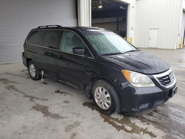 2010 Honda Odyssey EXL