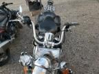 2003 Harley-Davidson Flstci