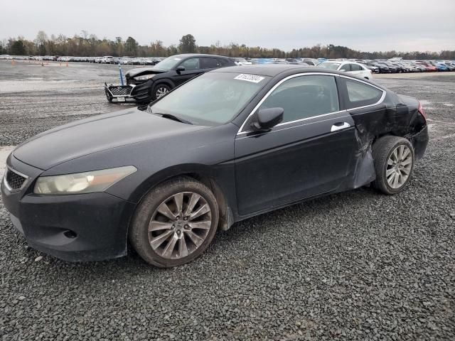 2009 Honda Accord EXL