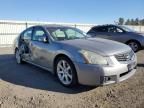 2008 Nissan Maxima SE