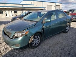 Salvage cars for sale at Earlington, KY auction: 2010 Toyota Corolla Base