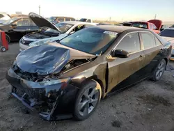 Salvage Cars with No Bids Yet For Sale at auction: 2014 Toyota Camry SE