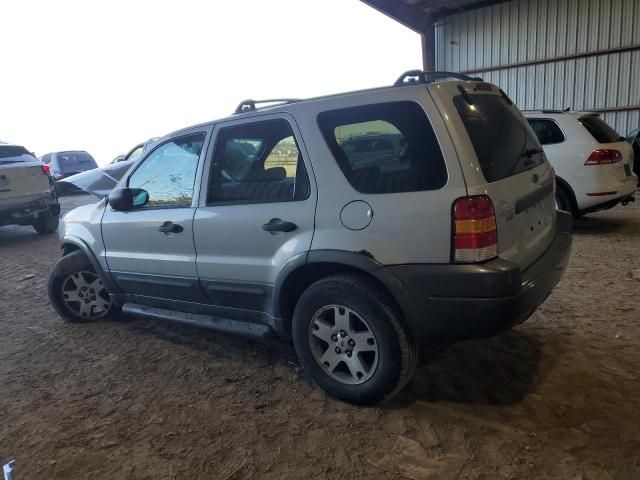 2004 Ford Escape XLT