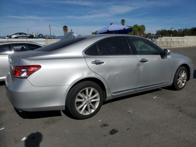 2010 Lexus ES 350