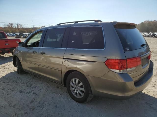 2010 Honda Odyssey EXL