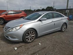 Hyundai Sonata salvage cars for sale: 2013 Hyundai Sonata SE